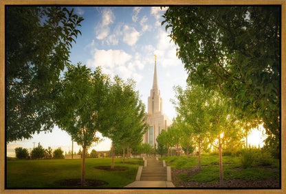 Oquirrh Mountain Golden Glow