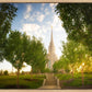 Oquirrh Mountain Golden Glow