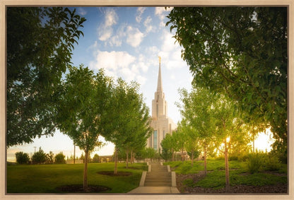 Oquirrh Mountain Golden Glow