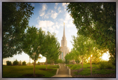 Oquirrh Mountain Golden Glow