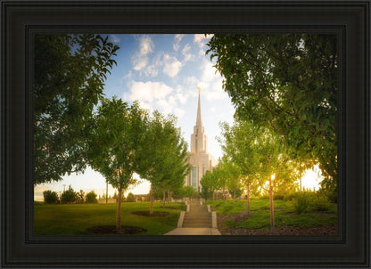 Oquirrh Mountain Golden Glow