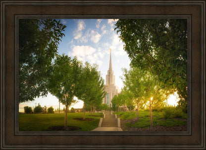 Oquirrh Mountain Golden Glow