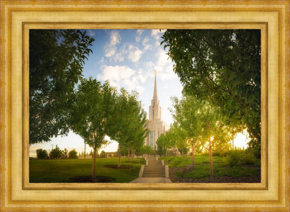 Oquirrh Mountain Golden Glow