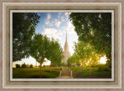 Oquirrh Mountain Golden Glow