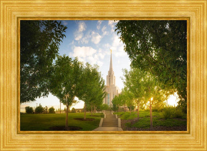 Oquirrh Mountain Golden Glow