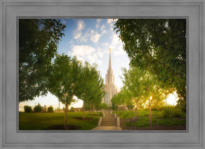 Oquirrh Mountain Golden Glow