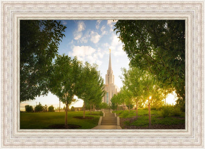 Oquirrh Mountain Golden Glow