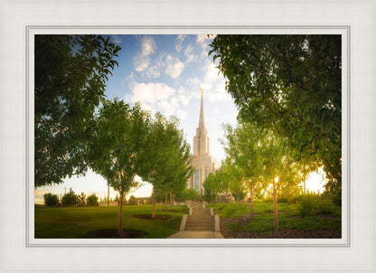 Oquirrh Mountain Golden Glow