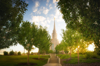 Oquirrh Mountain Golden Glow