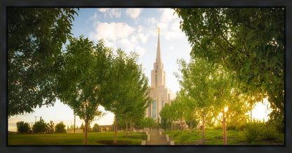Oquirrh Mountain Golden Glow
