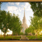 Oquirrh Mountain Golden Glow