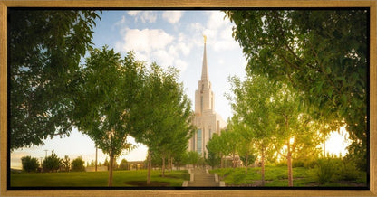 Oquirrh Mountain Golden Glow