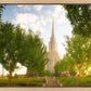 Oquirrh Mountain Golden Glow