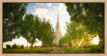 Oquirrh Mountain Golden Glow