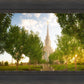 Oquirrh Mountain Golden Glow
