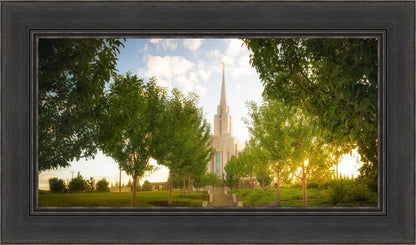 Oquirrh Mountain Golden Glow