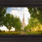 Oquirrh Mountain Golden Glow