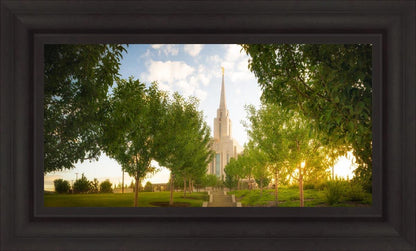 Oquirrh Mountain Golden Glow