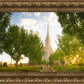 Oquirrh Mountain Golden Glow