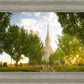 Oquirrh Mountain Golden Glow