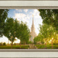 Oquirrh Mountain Golden Glow
