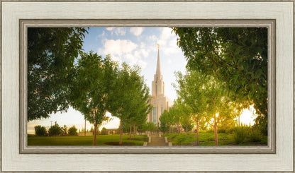 Oquirrh Mountain Golden Glow