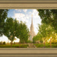 Oquirrh Mountain Golden Glow