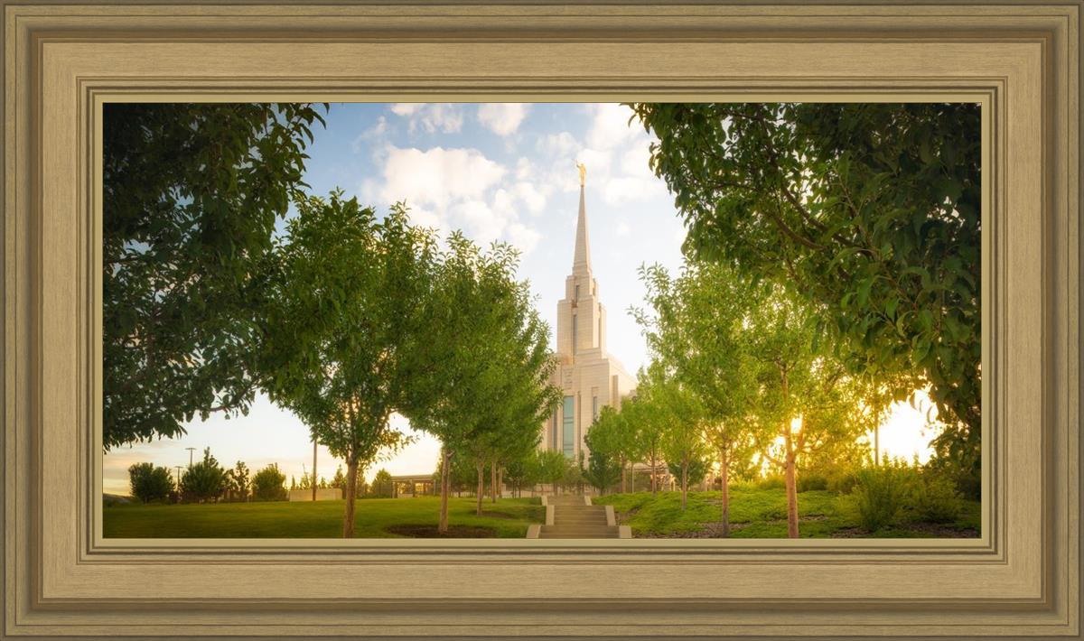 Oquirrh Mountain Golden Glow