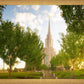 Oquirrh Mountain Golden Glow