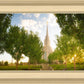 Oquirrh Mountain Golden Glow