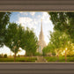 Oquirrh Mountain Golden Glow