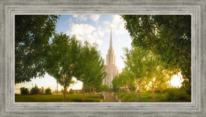 Oquirrh Mountain Golden Glow