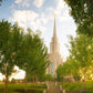 Oquirrh Mountain Golden Glow