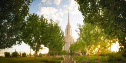 Oquirrh Mountain Golden Glow