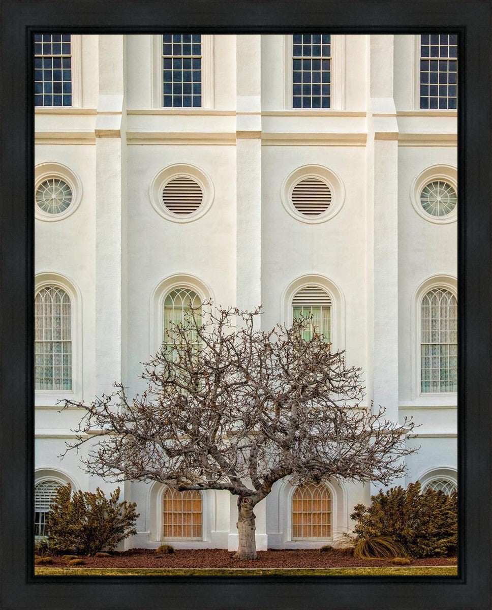 St George Temple 02 Gallery Wrap
