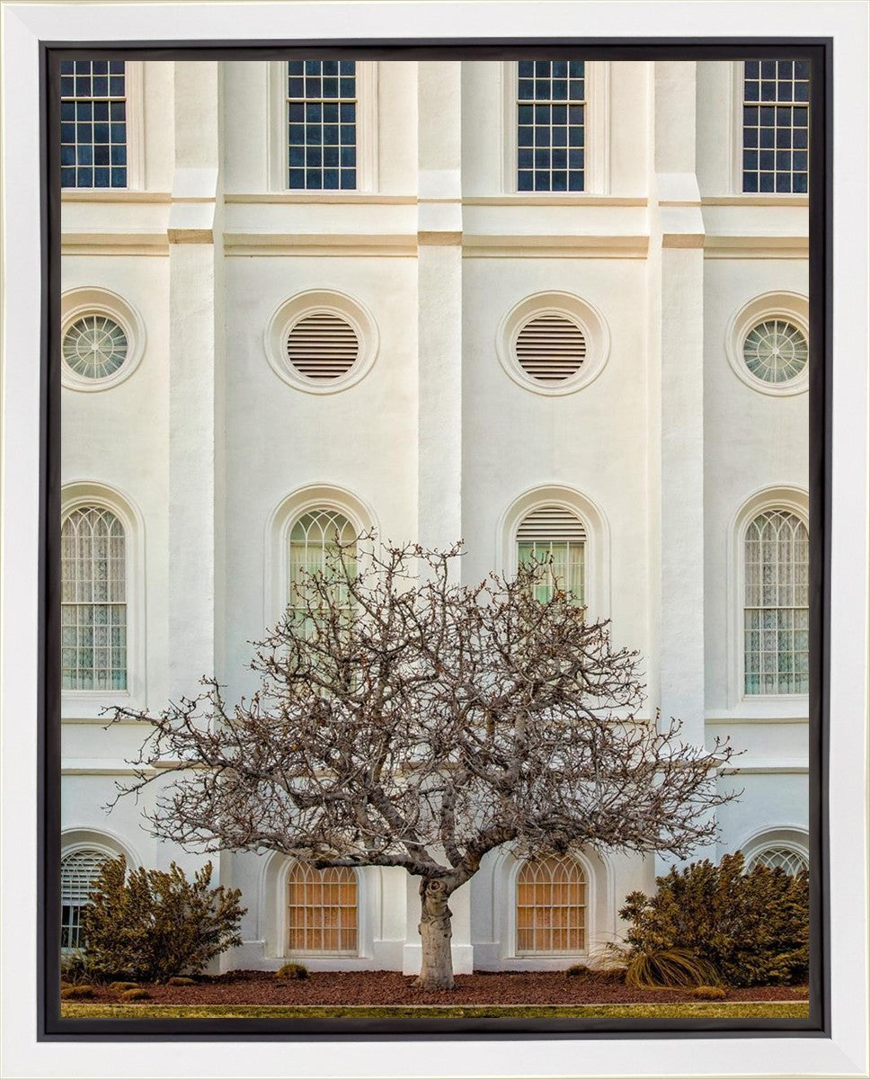 St George Temple 02 Gallery Wrap