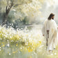 Life Anew