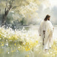 Life Anew