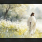Life Anew