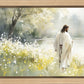 Life Anew