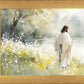 Life Anew