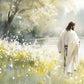 Life Anew