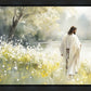 Life Anew