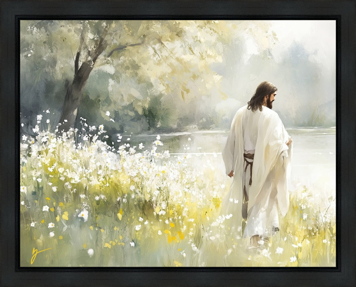 Life Anew