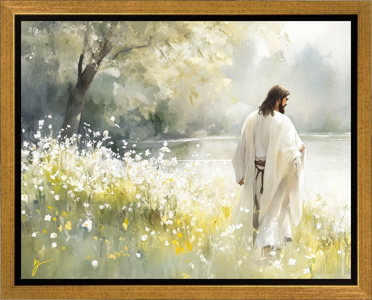 Life Anew