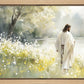 Life Anew
