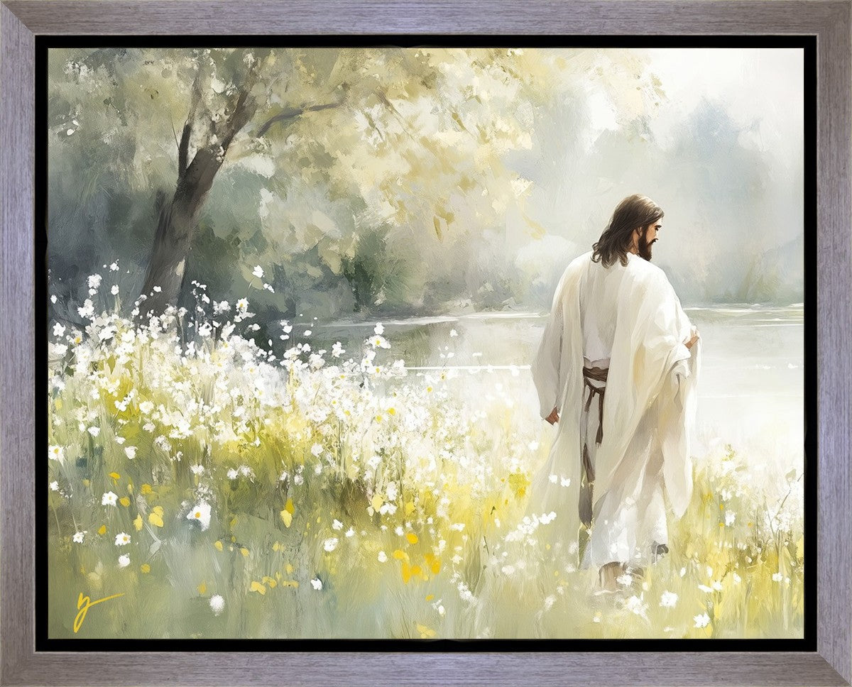 Life Anew