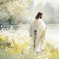 Life Anew