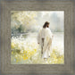 Life Anew