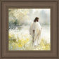 Life Anew